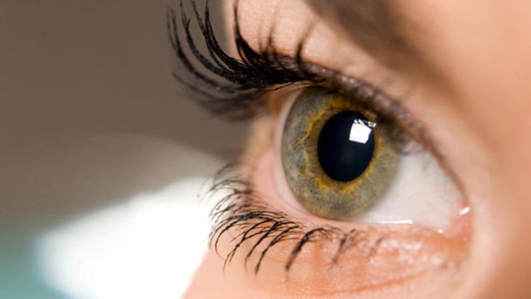 Tratamiento De La Córnea Y Retina