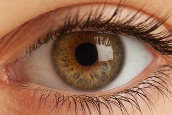 علاج القرنية (القرنية المخروطية ) - علاج شبكية العين