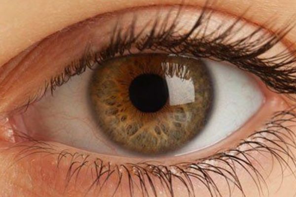 Tratamiento De La Córnea Y Retina