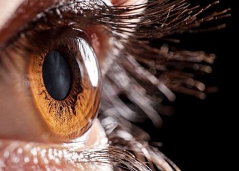Tratamiento De La Córnea Y Retina